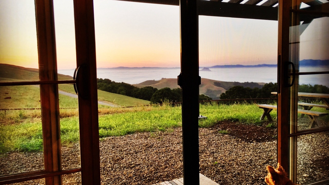 Photo of Others in San Luis Obispo