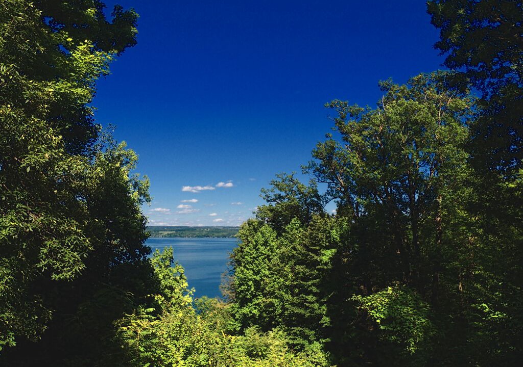 Photo of Outdoor in Romulus