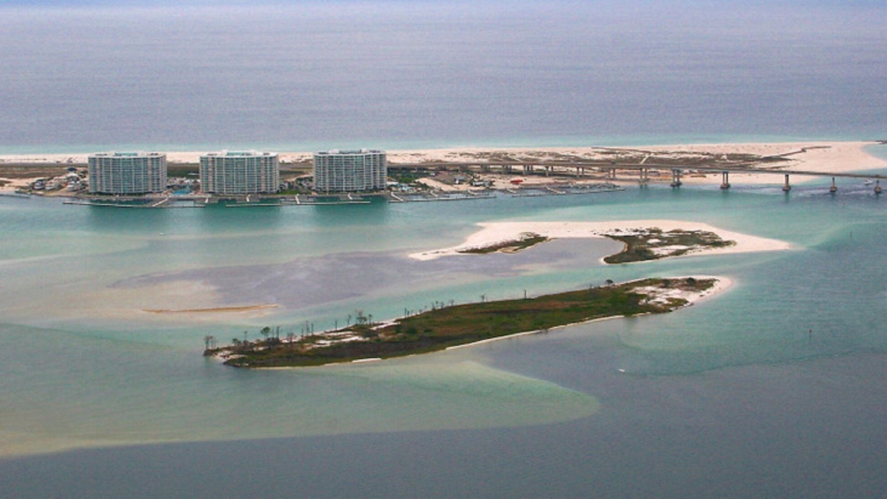 Photo of Others in Orange Beach East