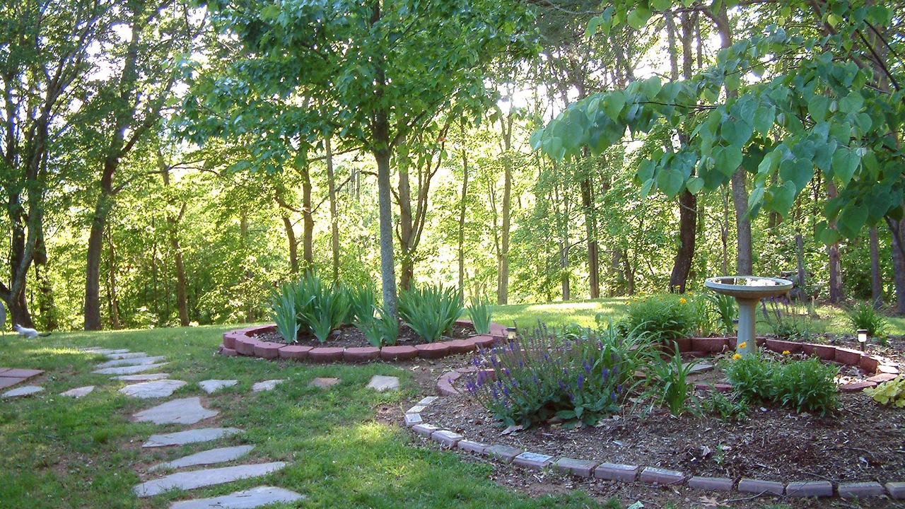 Photo of Outdoor in Asheville