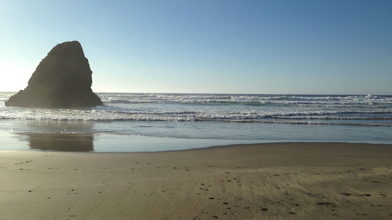 Photo of Others in Fort Bragg