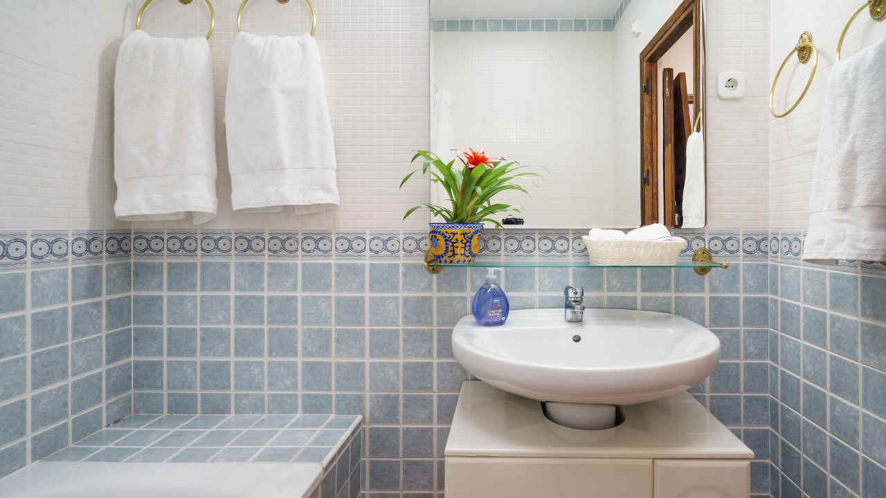 Photo of Bathroom in Malaga-Este