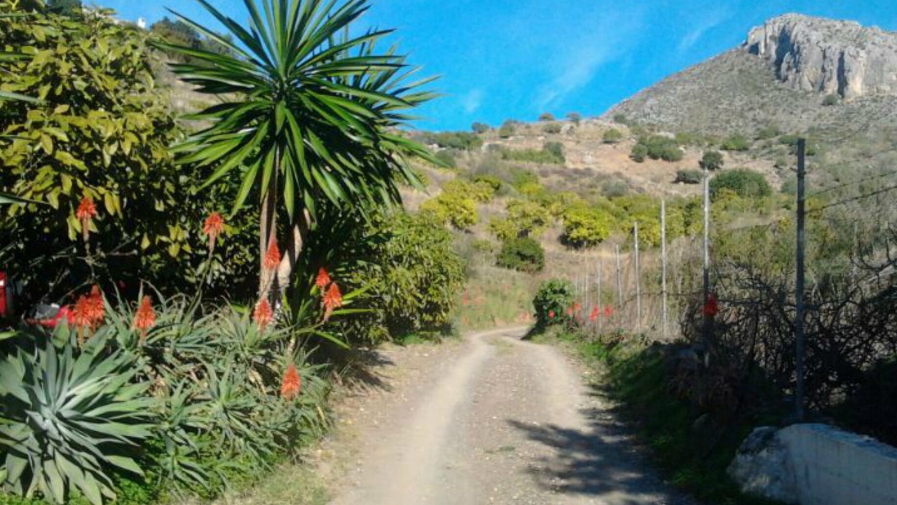 Photo of Outdoor in Malaga-Este