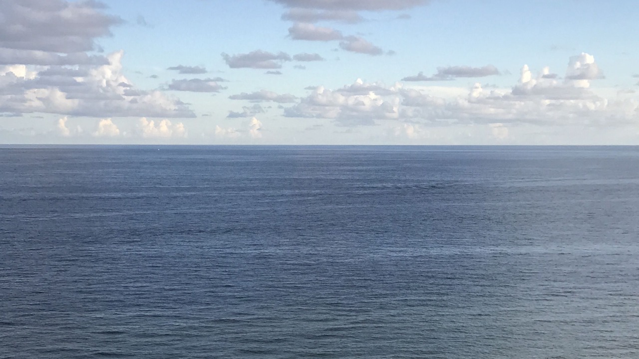 Photo of Outdoor in Orange Beach East