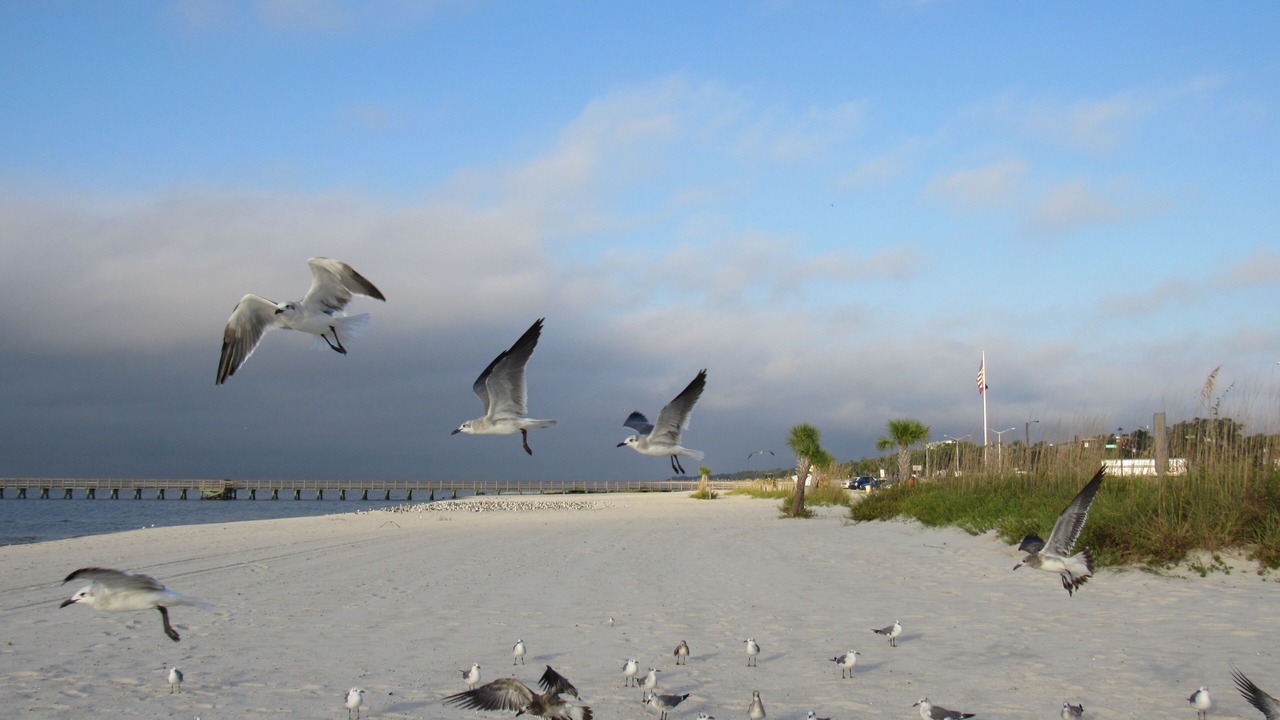 Photo of Others in Long Beach