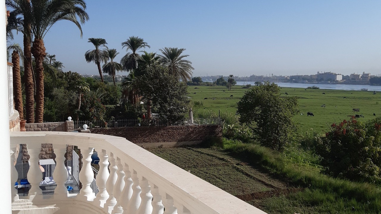 Photo of Patio Balcony in Luxor