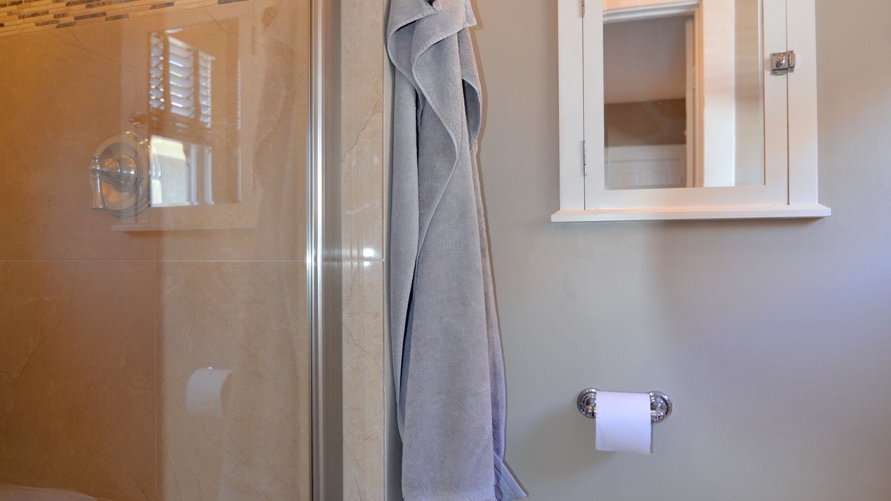 Photo of Bathroom in Anaheim Colony Historic District