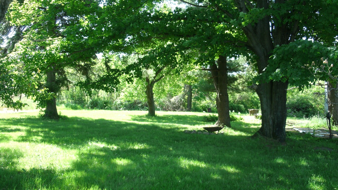 Photo of Outdoor in Ripley