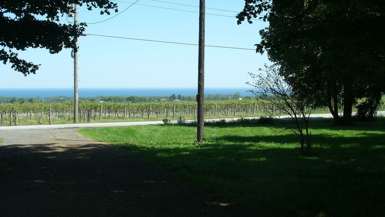 Photo of Outdoor in Ripley