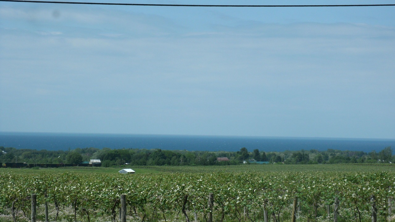 Photo of Outdoor in Ripley