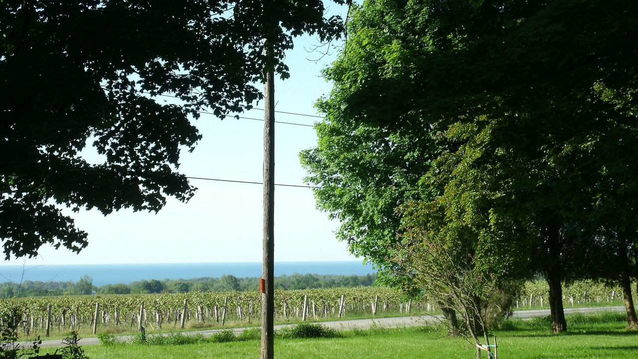 Photo of Outdoor in Ripley