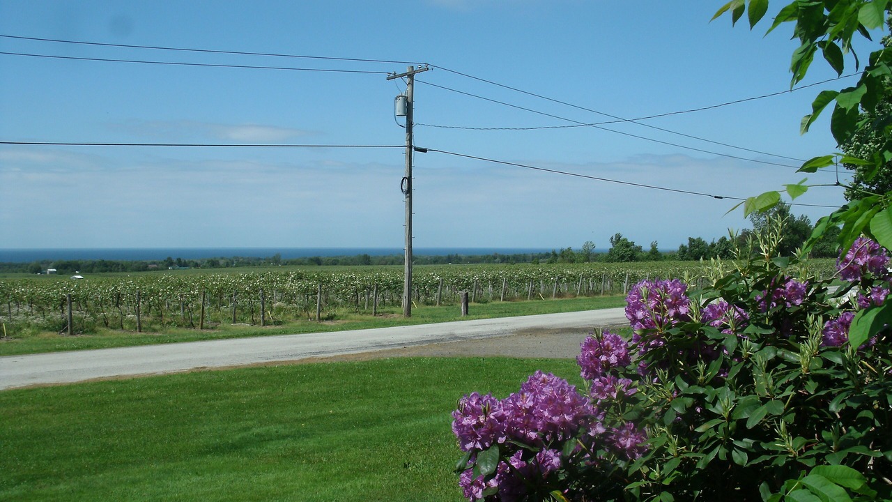 Photo of Outdoor in Ripley