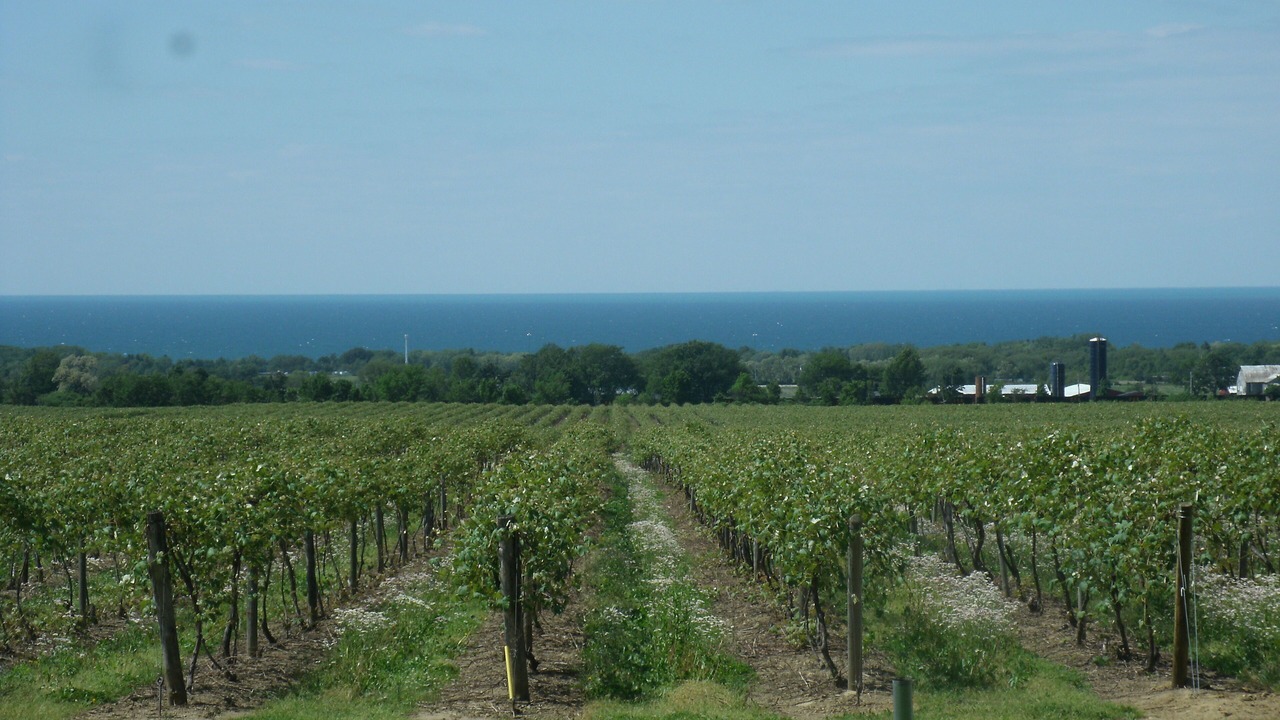 Photo of Outdoor in Ripley