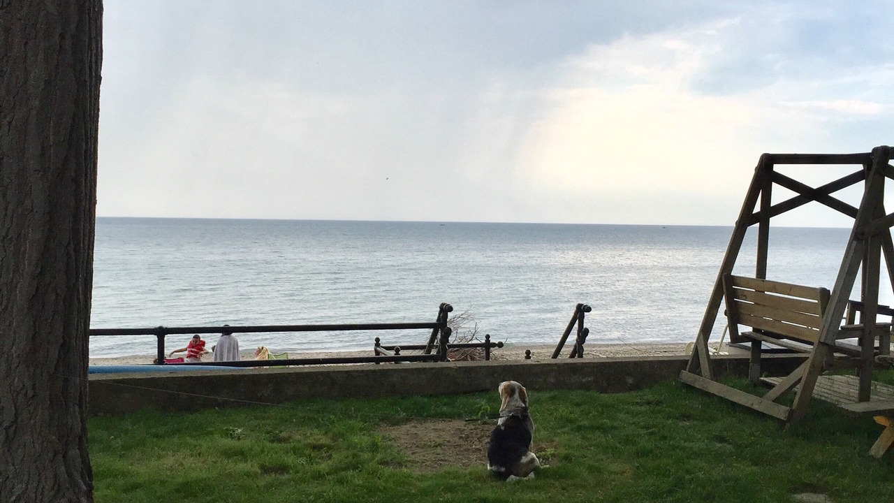 Photo of Others in Dunkirk