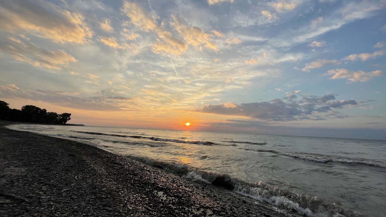 Photo of Others in Dunkirk