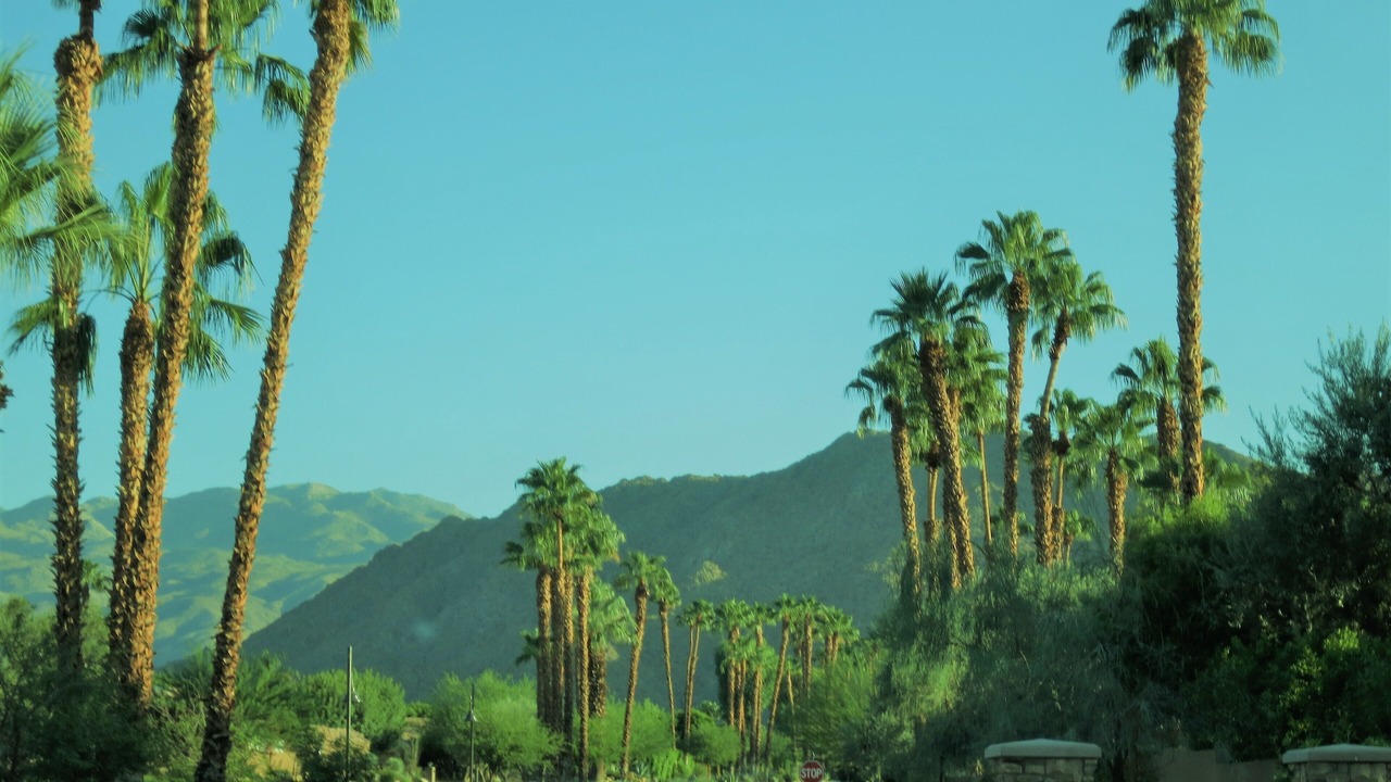 Photo of Others in Palm Desert