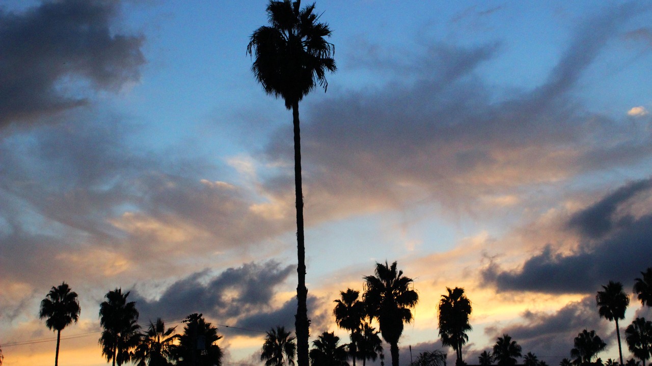 Photo of Others in South Oceanside