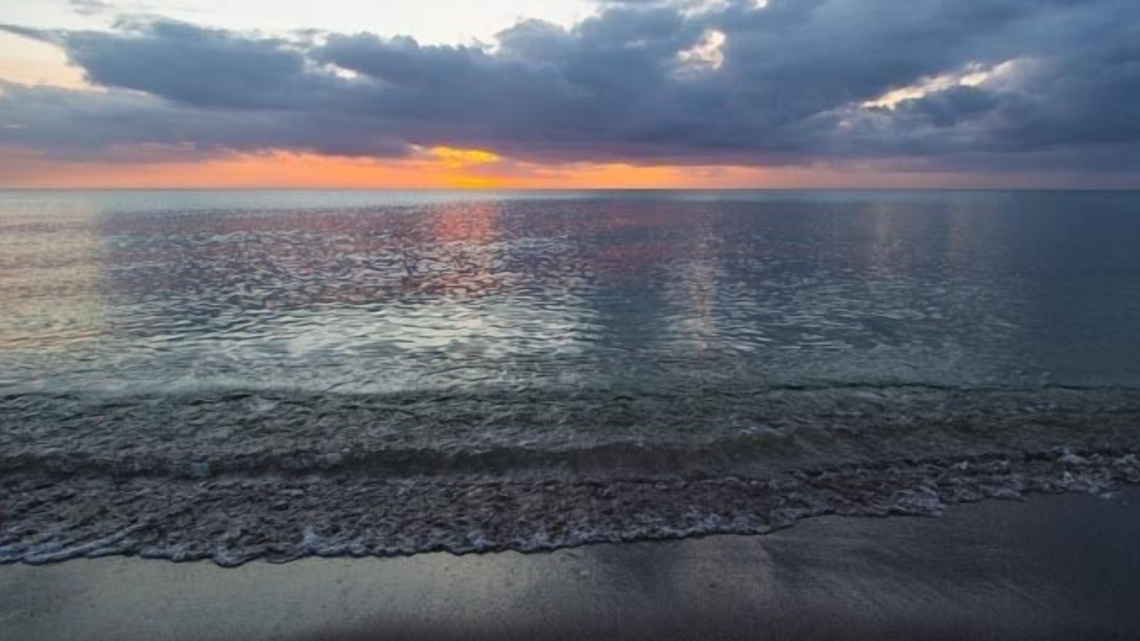 Photo of Others in Golden Beach