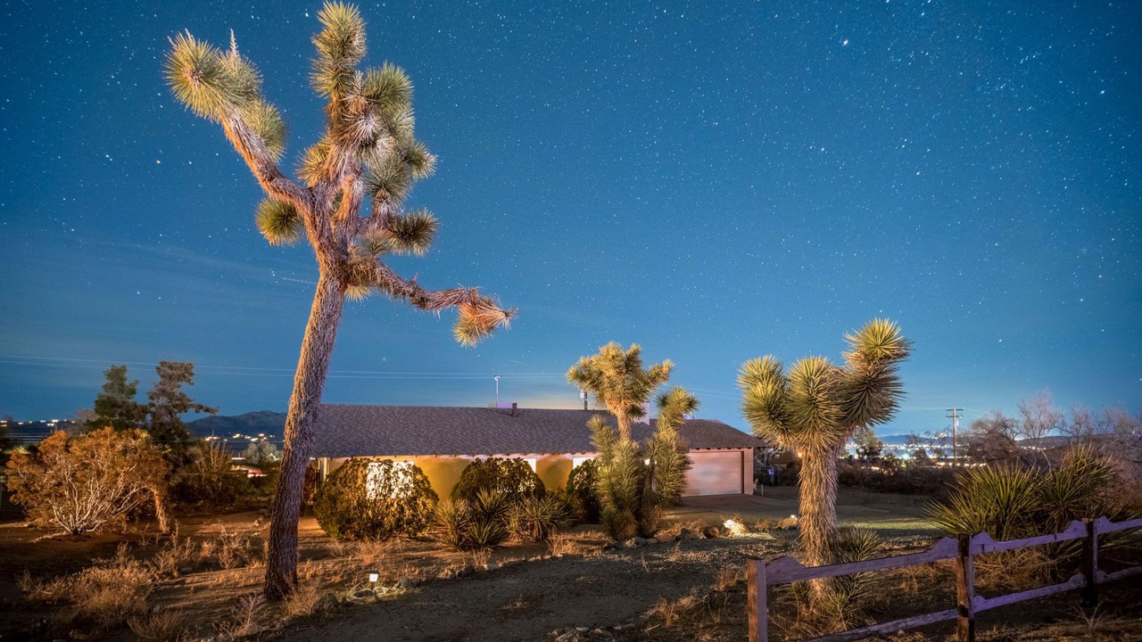 Photo of Others in Joshua Tree