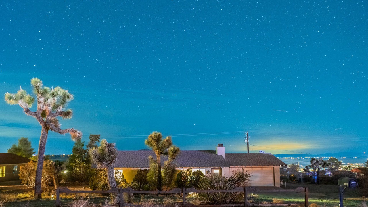 Photo of Others in Joshua Tree