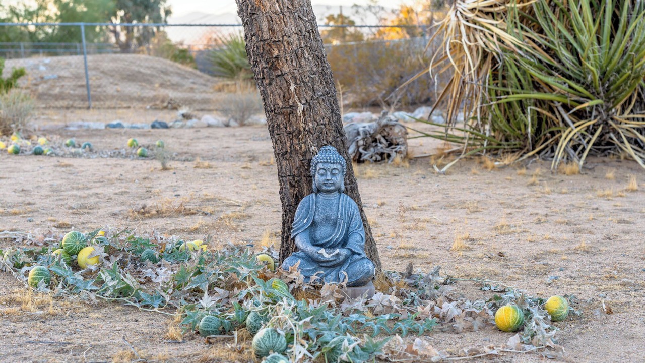 Photo of Outdoor in Joshua Tree