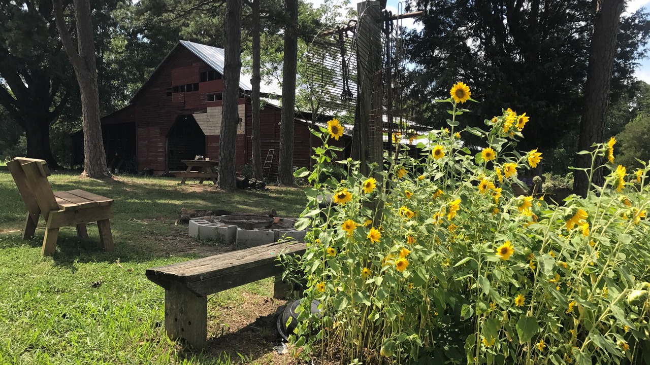 Photo of Outdoor in Albemarle