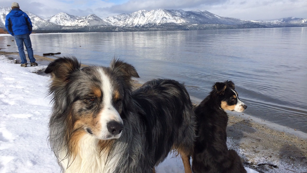 Photo of Others in Al Tahoe