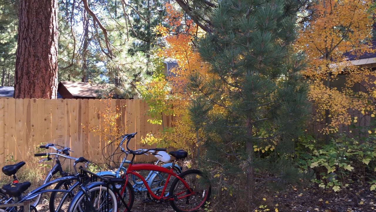 Photo of Others in Al Tahoe
