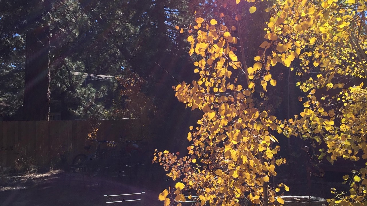 Photo of Others in Al Tahoe