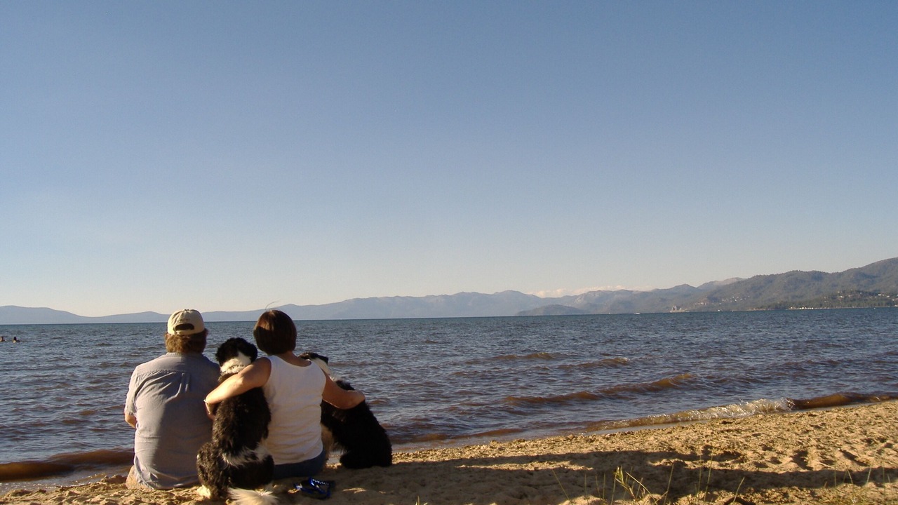Photo of Others in Al Tahoe