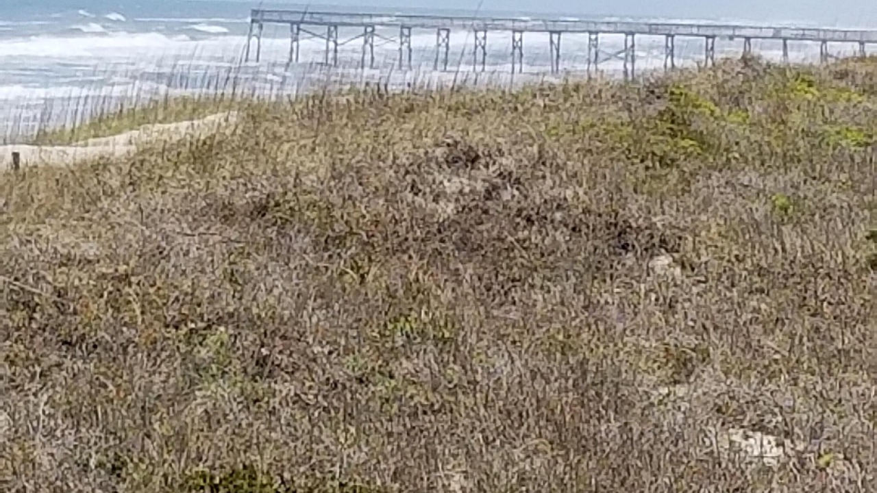 Photo of Others in Atlantic Beach