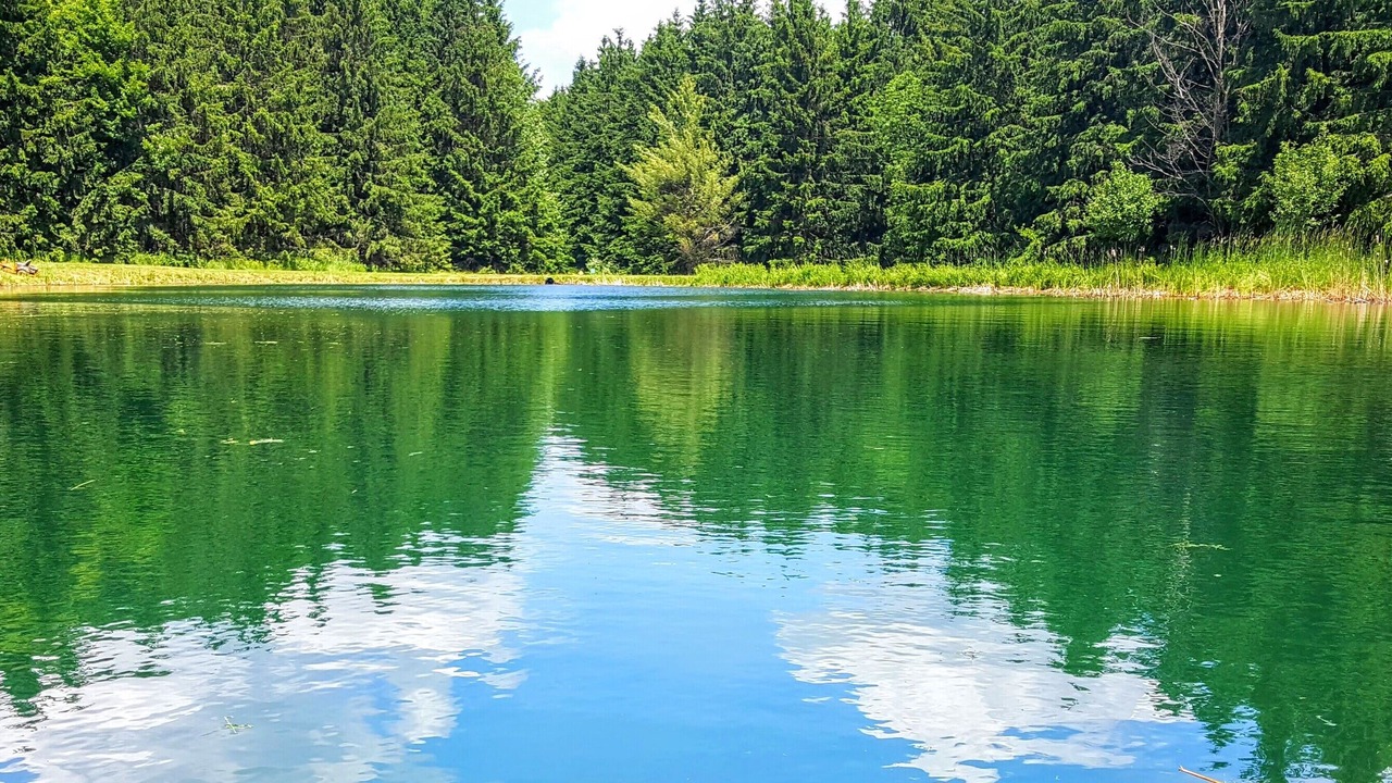 Photo of Outdoor in Branchport