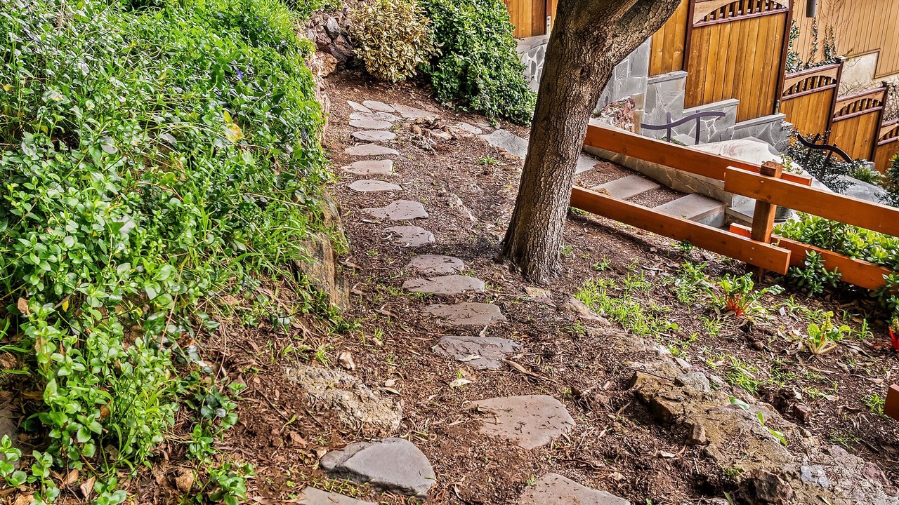 Photo of Outdoor in Forest Hill Extension