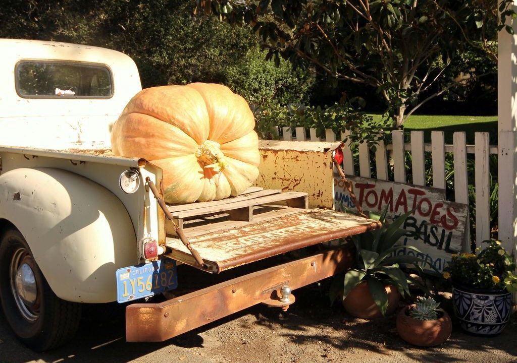 Photo of Others in Sonoma