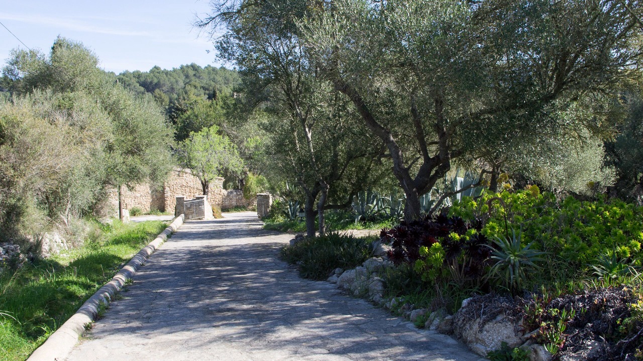 Photo of Outdoor in Arta