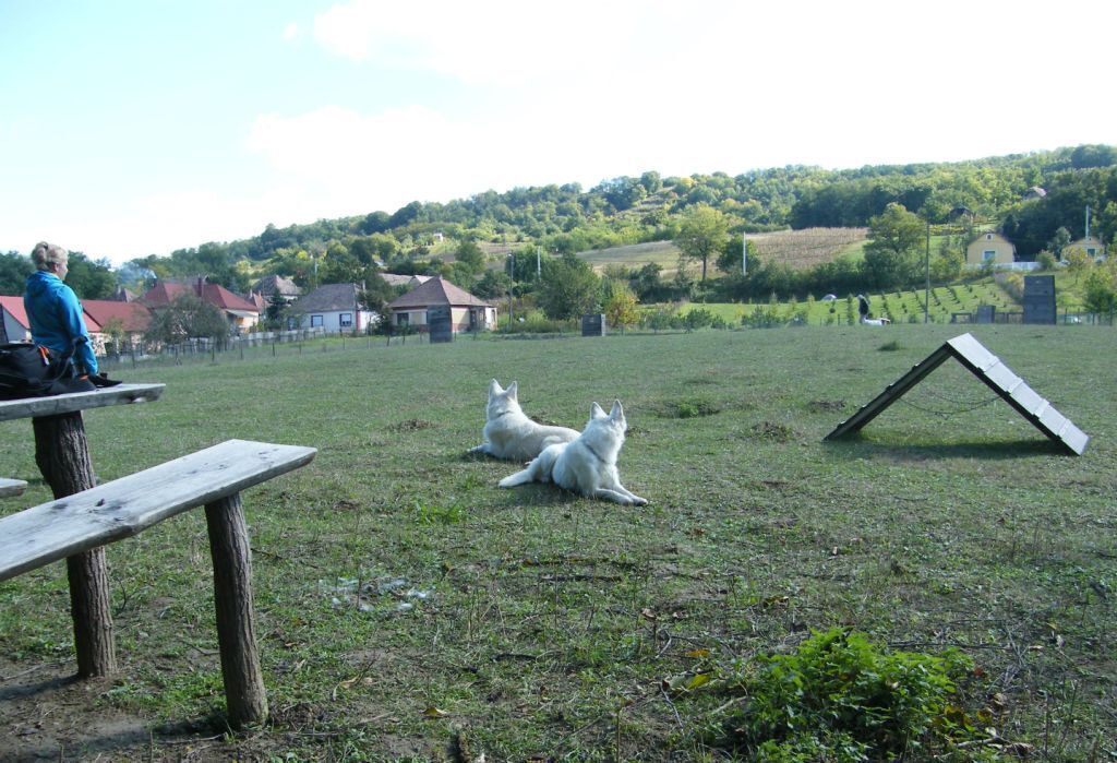 Photo of Others in Dobrokoz