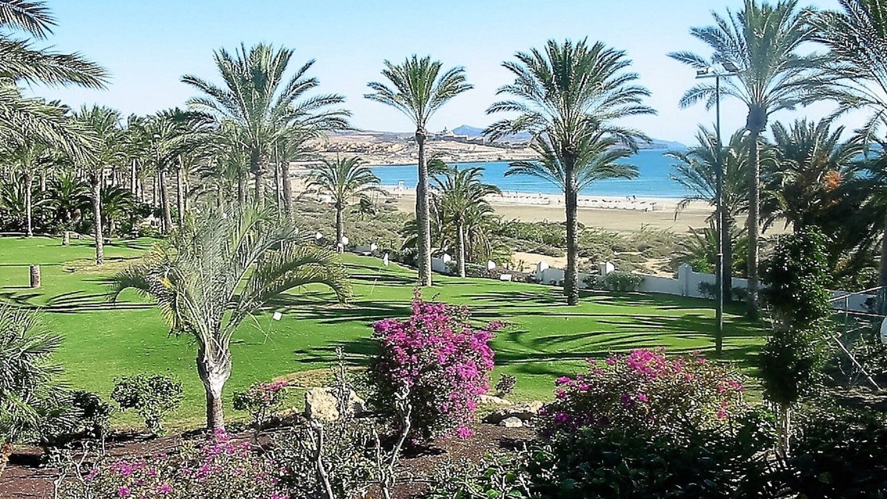 Photo of Outdoor in Bahia Calma