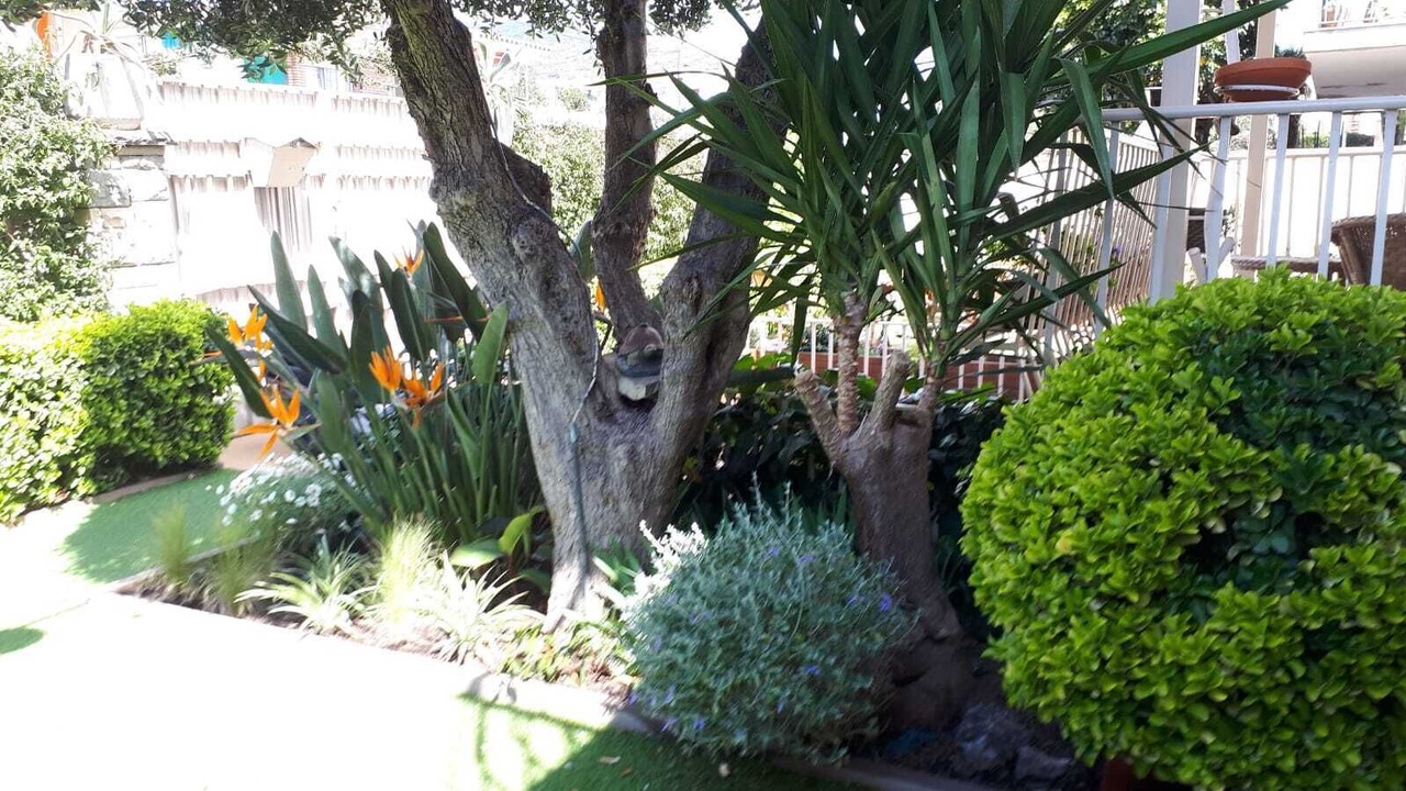Photo of Outdoor in Premia de Dalt