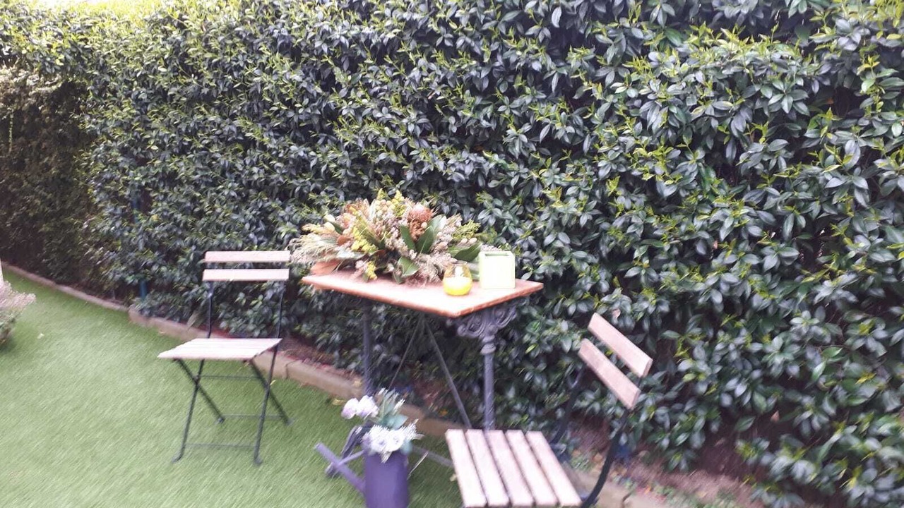Photo of Outdoor in Premia de Dalt