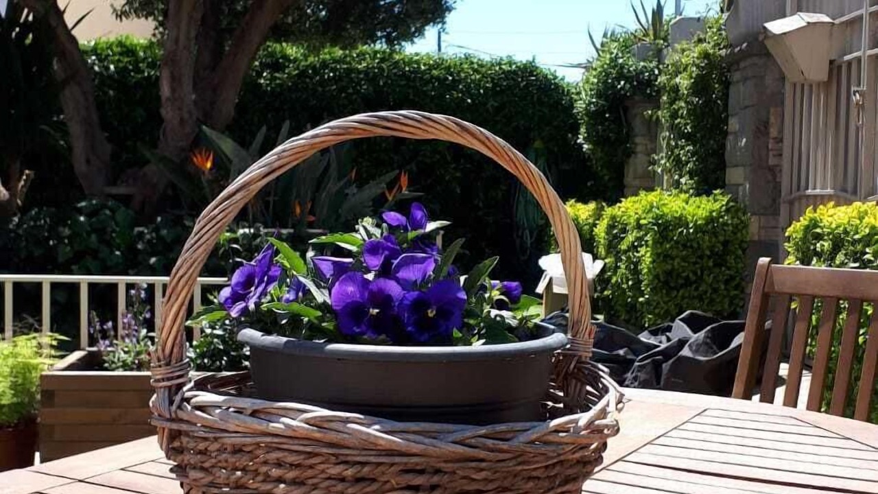 Photo of Patio Balcony in Premia de Dalt