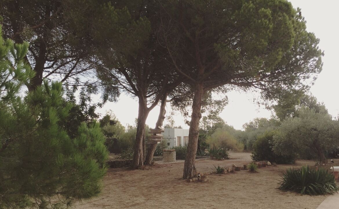 Photo of Outdoor in L'Ametlla de Mar