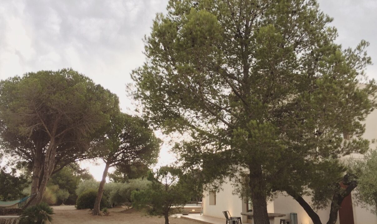 Photo of Outdoor in L'Ametlla de Mar