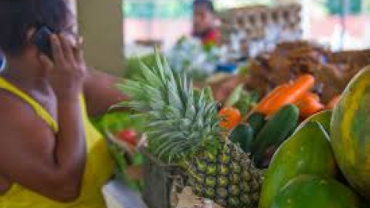 Photo of Others in Anse Royale