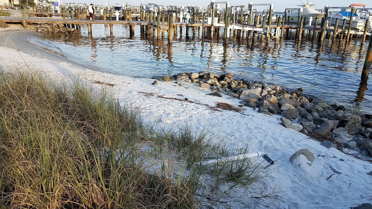 Photo of Others in Orange Beach