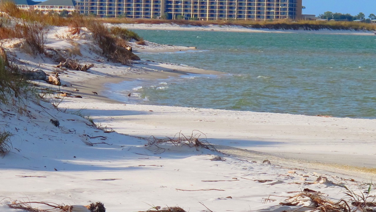 Photo of Others in Dauphin Island