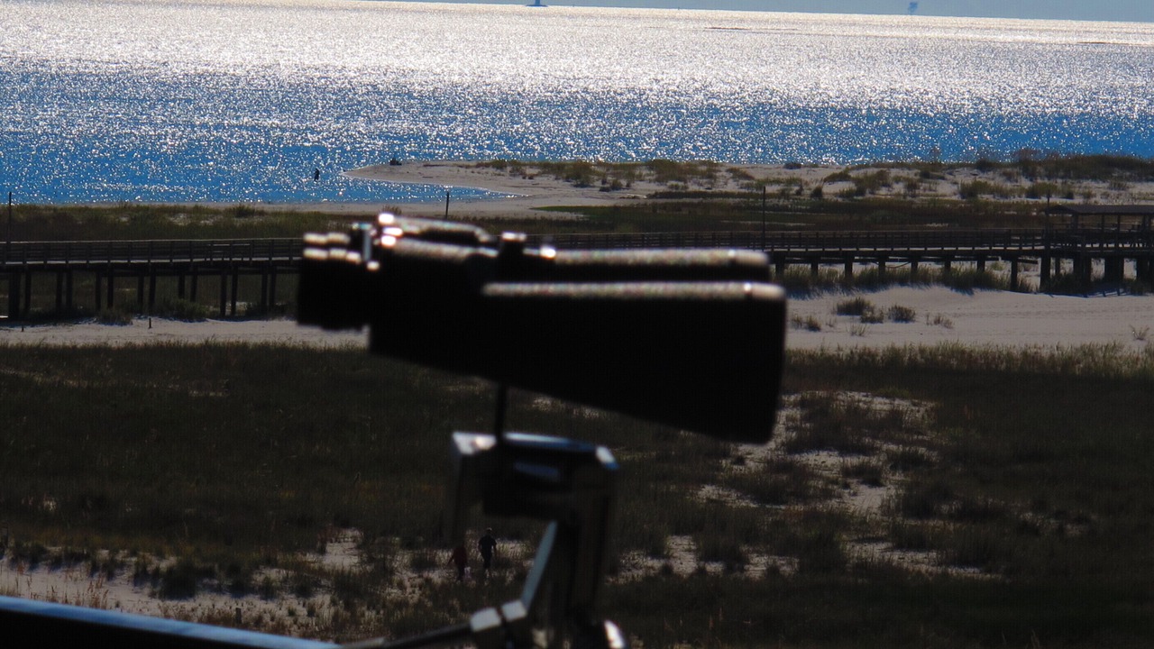 Photo of Others in Dauphin Island