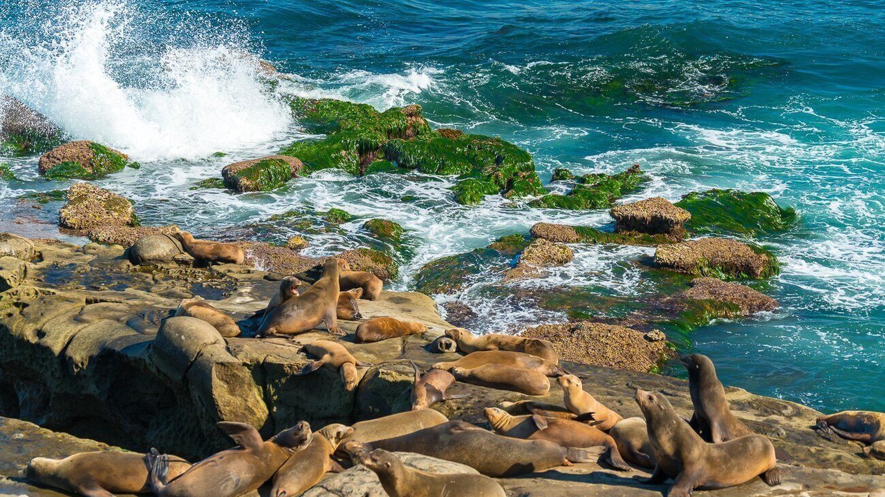 Photo of Others in Beach Barber Tract