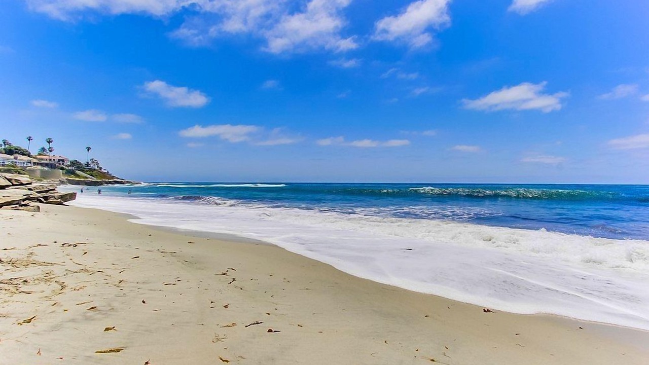 Photo of Others in Beach Barber Tract