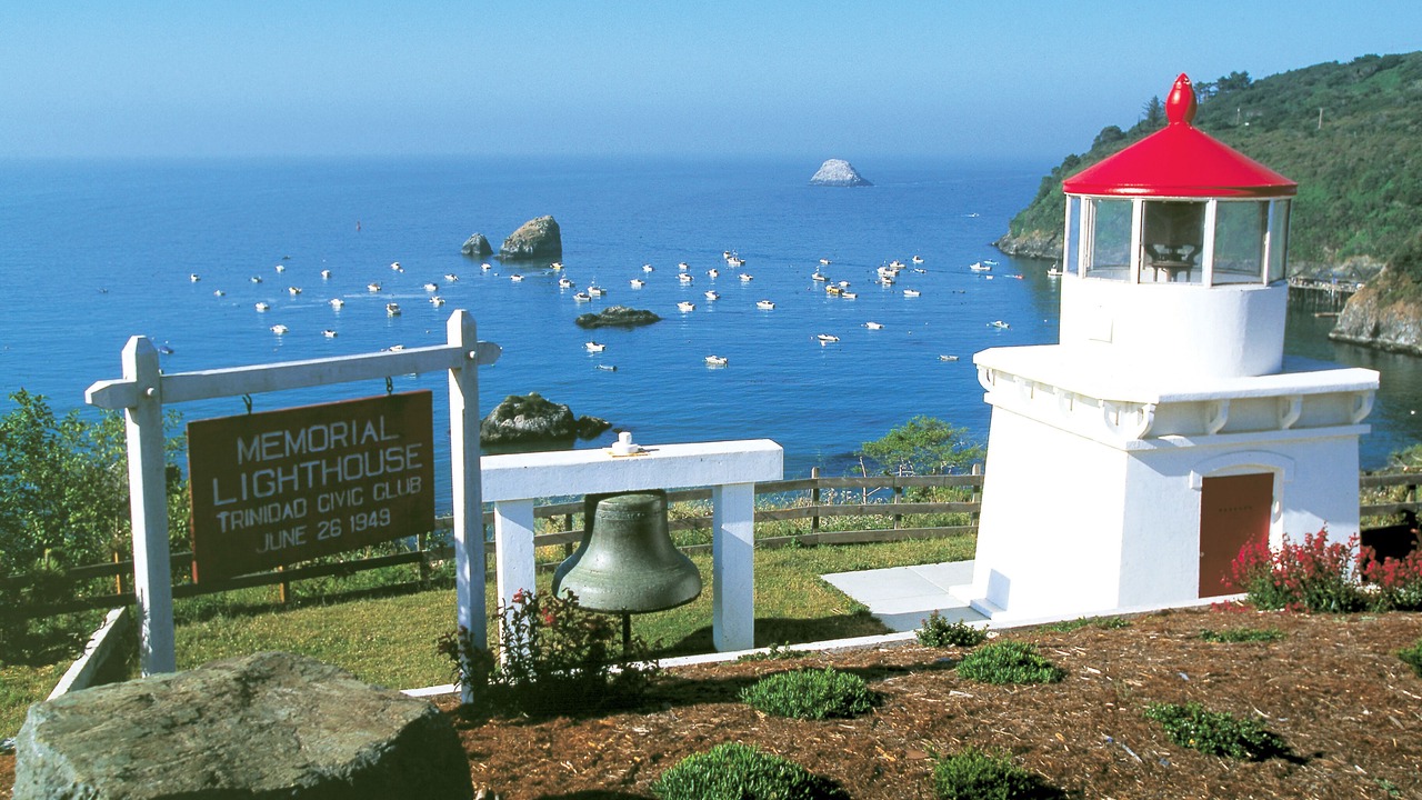 Photo of Others in Trinidad