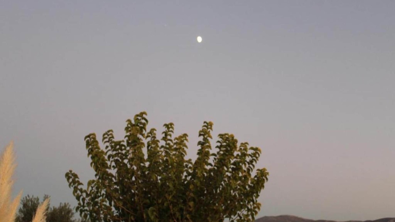 Photo of Others in Mavrikiano